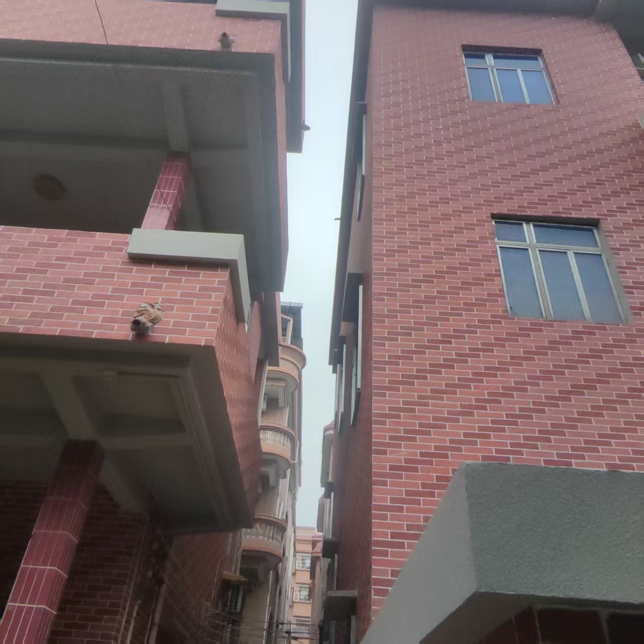 圖片關鍵詞